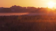 Warren Farm Nature Reserve faces ‘de-wilding’ after Ealing council announces sport pitches development