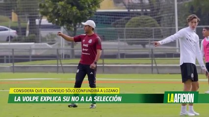 La Volpe explicó por qué no fue parte del Consejo de Expertos de la FMF