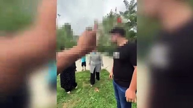 Le débat sur les chiens errants à Kağıthane s'est transformé en bagarre ! Il a insulté les femmes en disant ＂Honte à votre turban＂