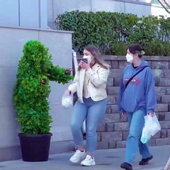 Funny Bushman Prank with Cute Korean Girls 2024