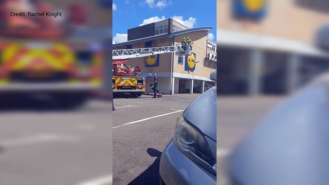 Firefighters try to rescue cat stuck on Lidl roof