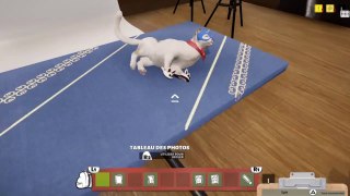 ANIMAL SHELTER SIMULATOR EP 5 : IVY SE PREND POUR UNE STAR