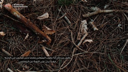 تفسير ضرب الميت بالعصا في المنام