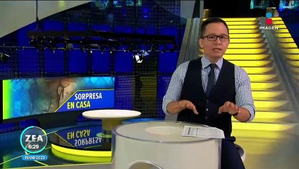 Descubren red de túneles en casas de Guadalajara, Jalisco