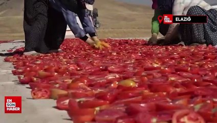 Elazığ'da mevsimlik tarım işçilerinden kurutmalık domateslerle dev Türkiye haritası