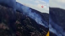 Bolu Göynük'te Orman Yangını: Havadan ve Karadan Müdahale Devam Ediyor