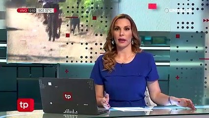 Niño mordido por un perro no ha sido vacunado por falta de dosis antirrábicas en los centros