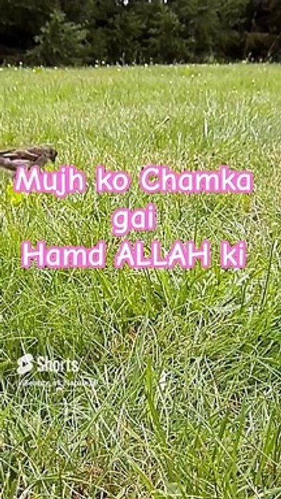 #Beautiful Hamd#Beautiful Nature#Beautiful World#Shorts#Shorts with Lyrics#Youtube# (6)