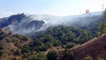 Ankara'nın Çubuk ilçesinde orman yangını çıktı