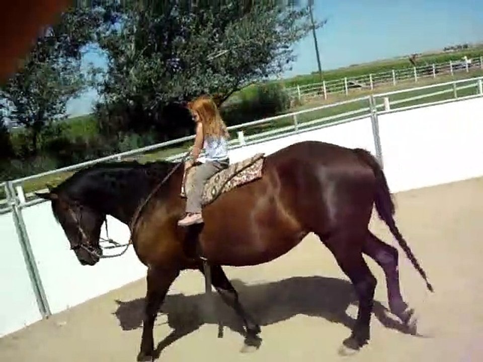 Sianna & Cessna - 3 year old girl riding 16.3 hand horse
