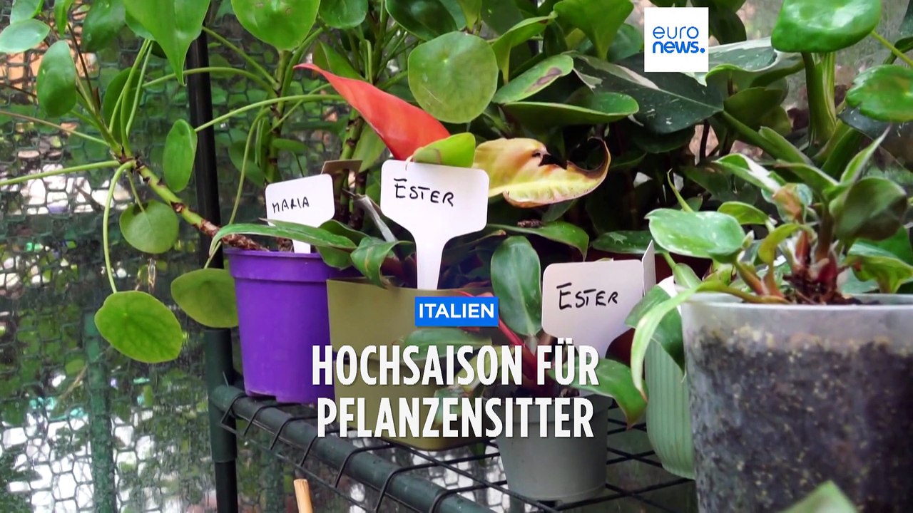 5-Sterne-Hotel für grüne Gäste: Hochsaison bei Enrico aus Bologna