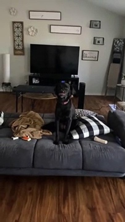 Woo Woo's on Command