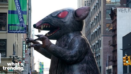 New Yorkers Battle 'Croc Sized' Rats on First Ever Anti-Rat Day of Action