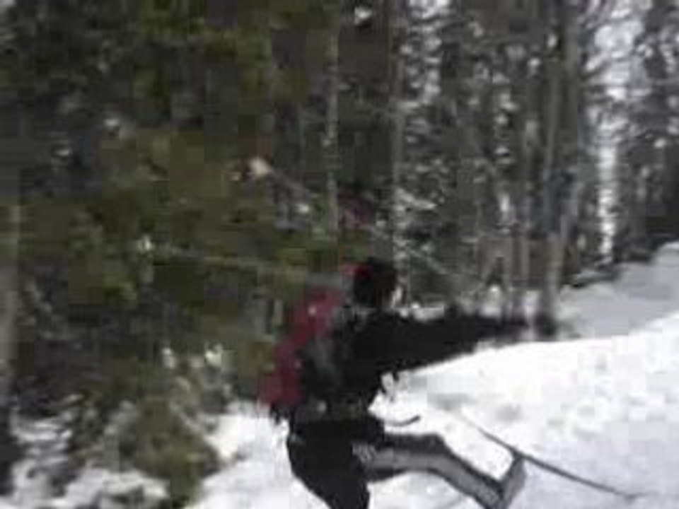 Beb fait du ski nordique par Nik