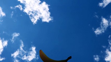 GORILLA | movie | 2021 | Official Clip