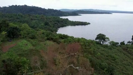 قيمتها 500 مليون دولار.. الغابون تعقد أول صفقة لمقايضة "الدين بالطبيعة" في أفريقيا