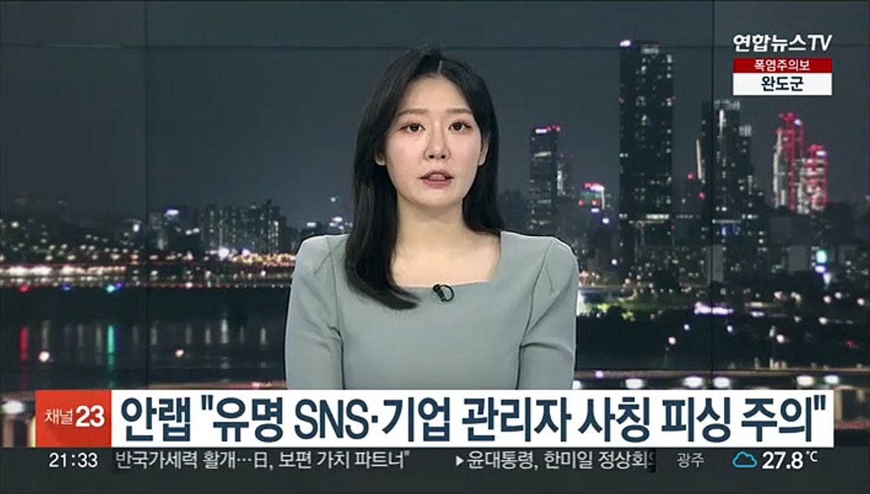 안랩 "유명 SNS·기업 관리자 사칭 피싱 주의"