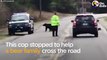 Cop Helps Bear Family Cross The Road   The Dodo