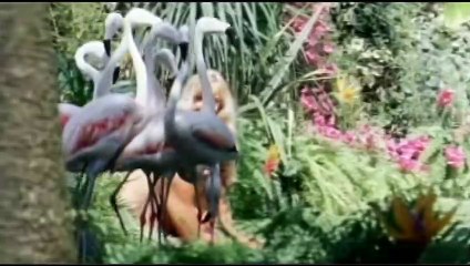 Adam and Eve | movie | 1983 | Official Trailer