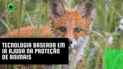 Tecnologia baseada em IA ajuda na proteção de animais