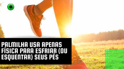 Palmilha usa apenas física para esfriar (ou esquentar) seus pés