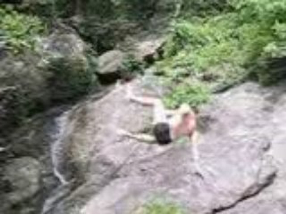 Georges de la brousse