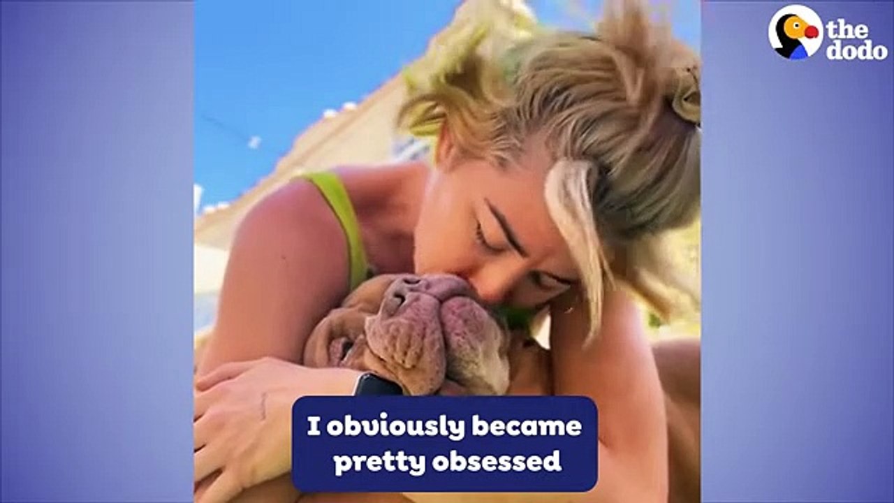 Woman Fosters A Pittie And Has No Idea How Much Her Life's About To Change   The Dodo Foster Diaries