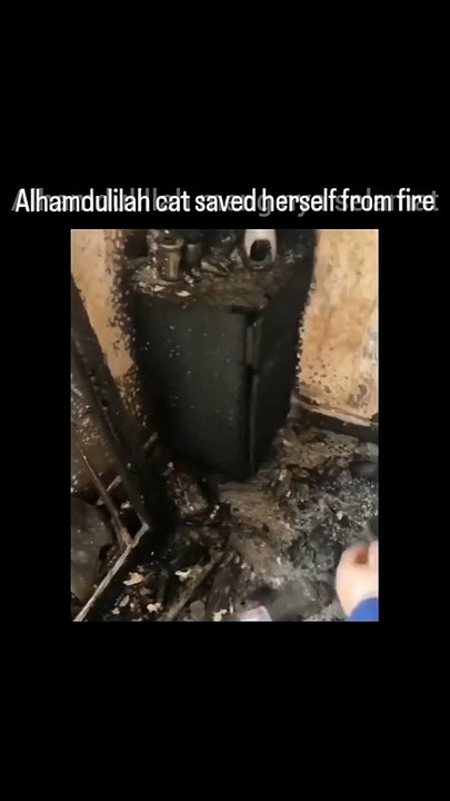 Cat save her self from fire