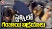 Police Arrested 6 Members Who Smuggling Ganja At Hayathnagar _ V6 News (2)