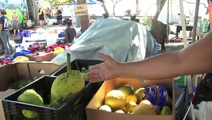 Broken Lahaina residents organize relief effort