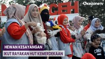 Pecinta Satwa di Banda Aceh Ajak Binatang Kesayangan Parade dan Upacara Bendera