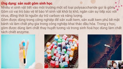 Sinh 10 - Bài 24 Quá trình tổng hợp và phân giải ở vi sinh vật