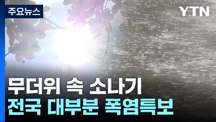 [날씨] 무더위 속 곳곳 소나기...동해안 더위 주춤, 너울 유의 / YTN