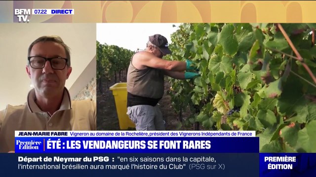 Vendanges: Deux tiers des vignerons indépendants ne peuvent pas compléter leurs équipes explique Jean-Marie Fabre (Vignerons indépendants de France)