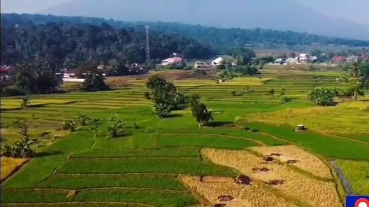 కర్నూలు: జిల్లాలో పెరిగిన పంటల సాగు