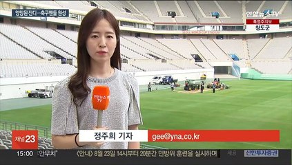 "잔디 복구에 최선" 약속했지만…축구팬들은 한숨