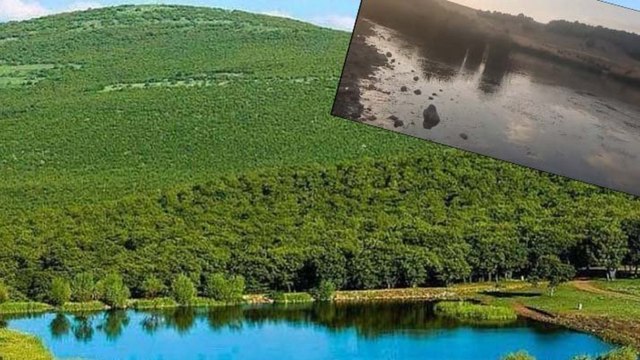 Bir doğa harikası böyle katledildi