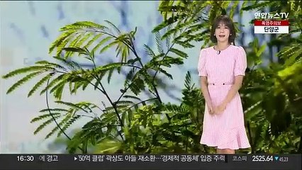 [날씨] 내일도 폭염 속 소나기…해안가 너울 유의