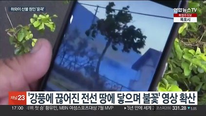 하와이 산불 사망자 101명으로…끊어진 전력선이 불씨된 듯