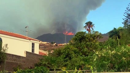 Incendio en Arafo y Candelaria, visto desde Barranco Hondo
