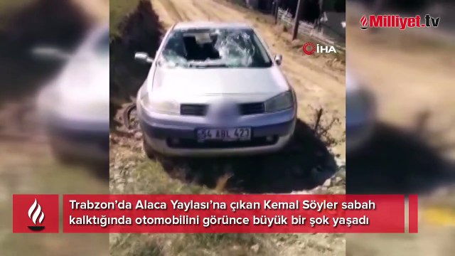 Ayılar otomobili parçaladı! Araç sahibine sigorta şirketinden 2. şok