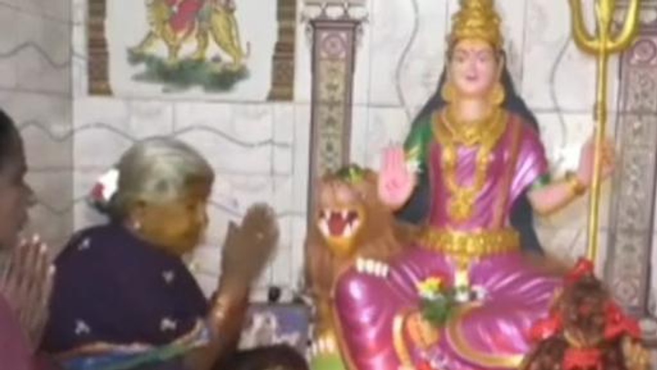 శ్రీకాకుళం జిల్లా: భరతమాతకు దేవాలయం... భారీగా పూజలు... ఎక్కడంటే ?