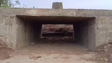 उमरिया: नदी नाला नहीं फिर भी बना दिया पुल,सरपंच सचिव परआरोप,जाने मामला