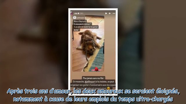 Laeticia Hallyday seule à Saint Barth et pendant ce temps, Jalil Lespert joue au dog sitter à Pari