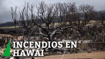 Más de 100 muertos por los incendios en Hawái