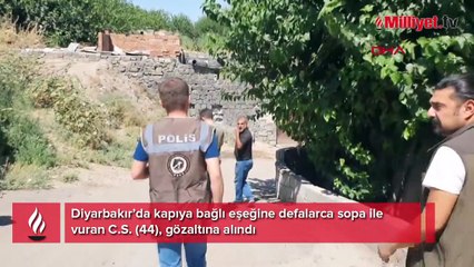 Kapıya bağlı eşeğe sopa ile defalarca vurmuştu! Akılalmaz savunma