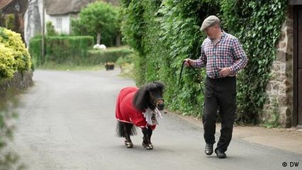 British 4-legged mayor brings people together