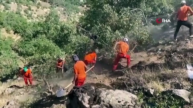 Bingöl'ün Genç ilçesindeki yangın kontrol altına alındı