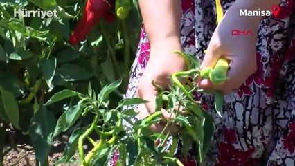 'Okulsuz köyden Sorbonne'a bir başarı hikayesi: Okumak isteyen genç kızlarımıza ilham kaynağı olacak