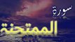 Surah Al-Mumtahanah | سورۃ الممتحنۃ | AL QURAN RECITE